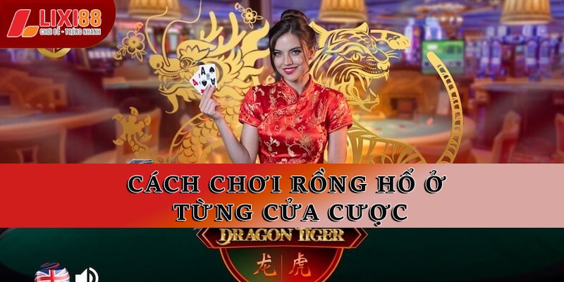 Cách chơi rồng hổ ở từng cửa cược