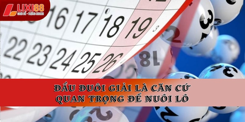 Đầu đuôi giải là căn cứ quan trọng để nuôi lô